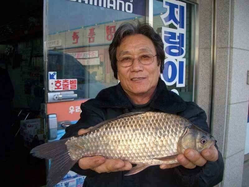 서산 태안 소류지 저수지권 조황 (조황조행기 - 낚시점조황)