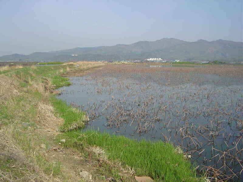 경산낚시프라자 가입인사드립니다 (조황조행기 - 낚시점조황)