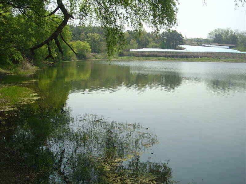 경산권 저수지정보 입니다 (조황조행기 - 낚시점조황)