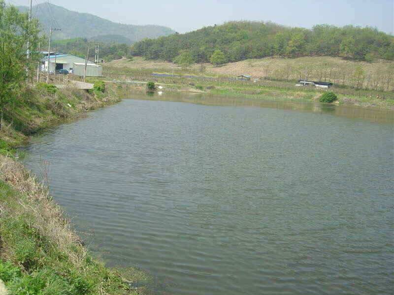 경산권 저수지정보 입니다 (조황조행기 - 낚시점조황)