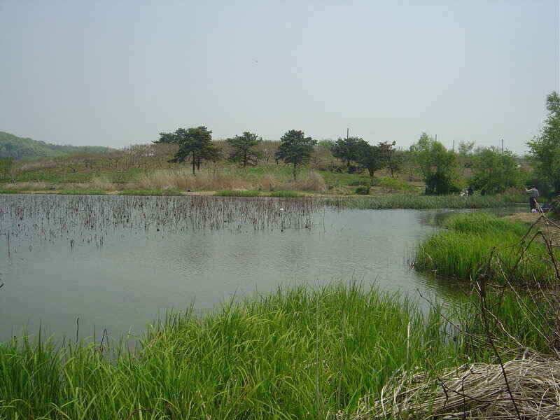 경산권 저수지정보 입니다 (조황조행기 - 낚시점조황)