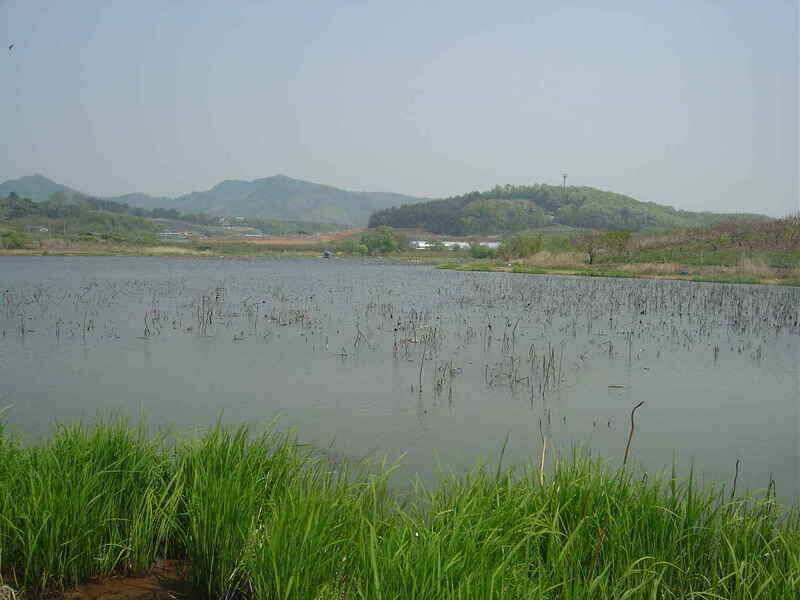 경산권 저수지정보 입니다 (조황조행기 - 낚시점조황)