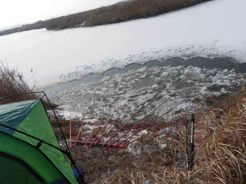 보기만해도 행복한 붕애 (조황조행기 - 낚시점조황)