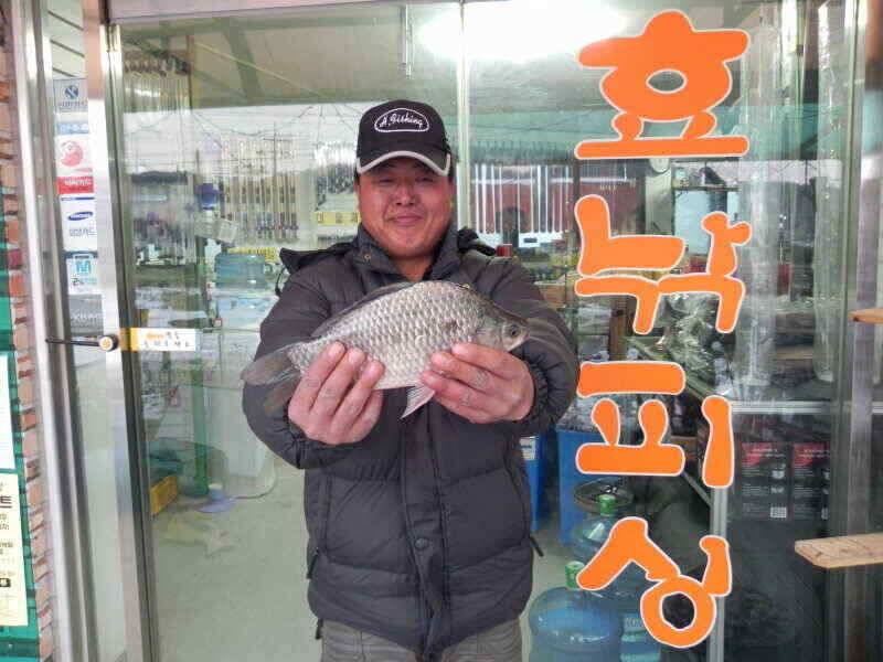 신묘년 첫 월척을 만나다 (조황조행기 - 낚시점조황)