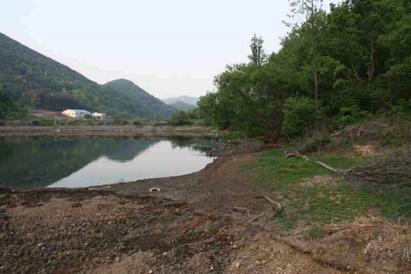 새물찬스를 기대할만한 낚시터 소개 합니다 (조황조행기 - 낚시점조황)