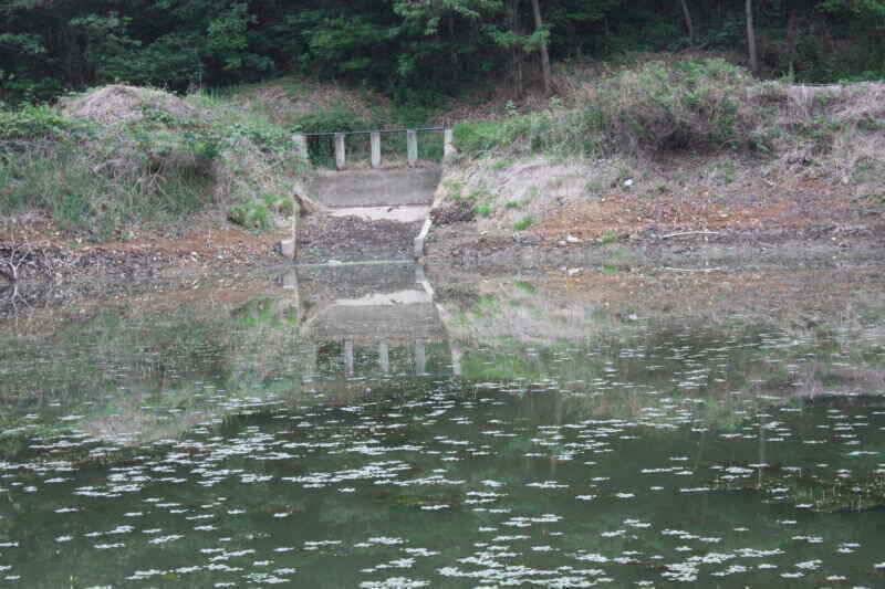 새물찬스를 기대할만한 낚시터 소개 합니다 (조황조행기 - 낚시점조황)