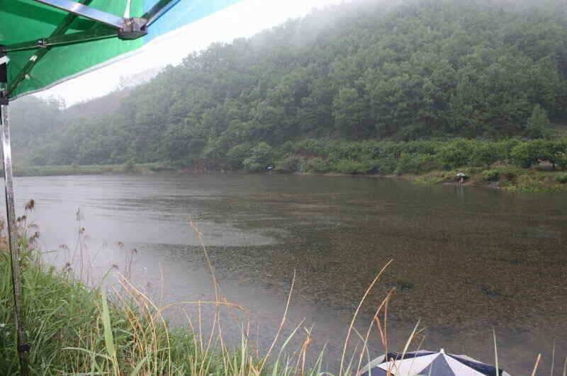 경산 남산권 현제 진행중인 조과를 보인 소류지들 입니다 (조황조행기 - 낚시점조황)