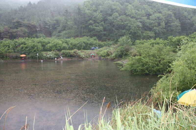 경산 남산권 현제 진행중인 조과를 보인 소류지들 입니다 (조황조행기 - 낚시점조황)