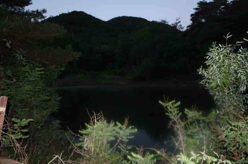 경산 남산권 현제 진행중인 조과를 보인 소류지들 입니다 (조황조행기 - 낚시점조황)