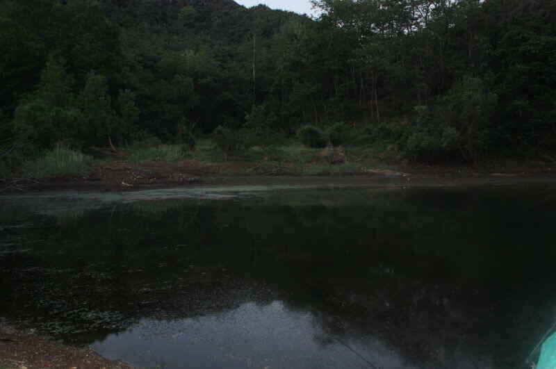 경산 남산권 현제 진행중인 조과를 보인 소류지들 입니다 (조황조행기 - 낚시점조황)
