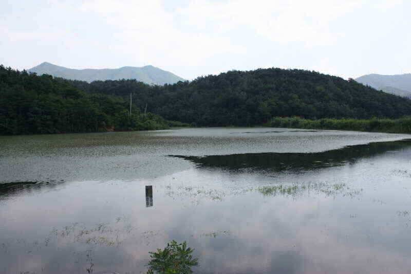 폭염속 꾼들에 그곳으로경산권 소류지 소식 (조황조행기 - 낚시점조황)