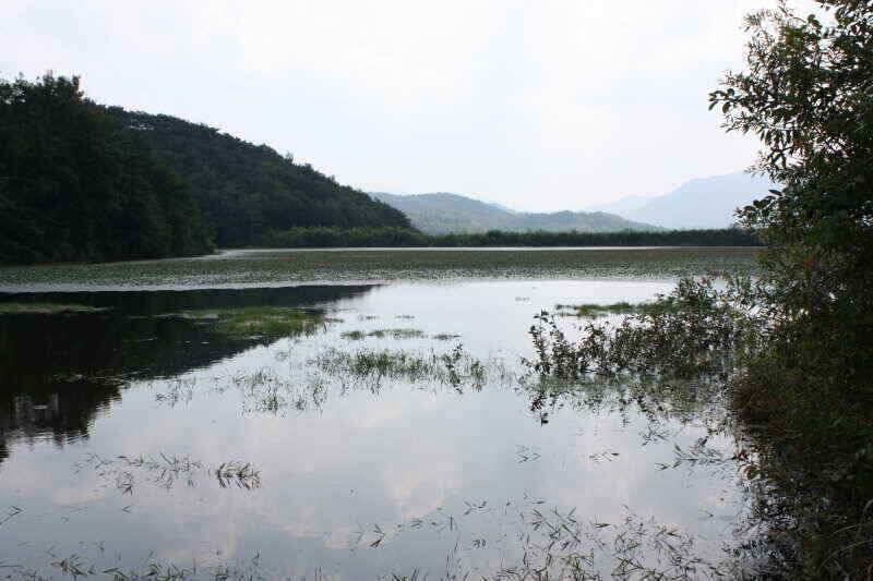 폭염속 꾼들에 그곳으로경산권 소류지 소식 (조황조행기 - 낚시점조황)