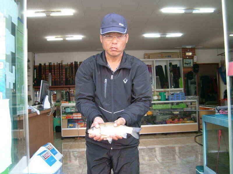 영천권 마릿수 월척 조황입니다 (조황조행기 - 낚시점조황)