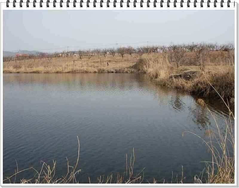 낚시프라자의 경산권 소식 (조황조행기 - 낚시점조황)