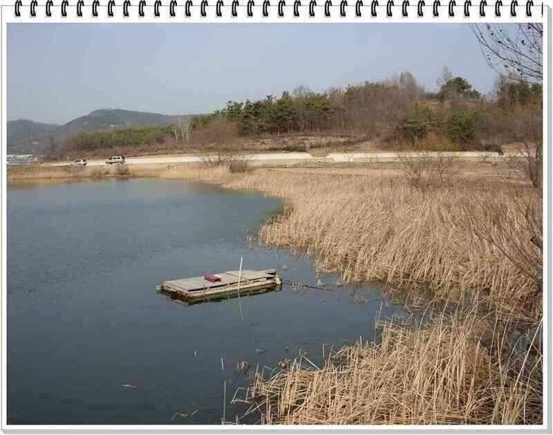 낚시프라자의 경산권 소식 (조황조행기 - 낚시점조황)