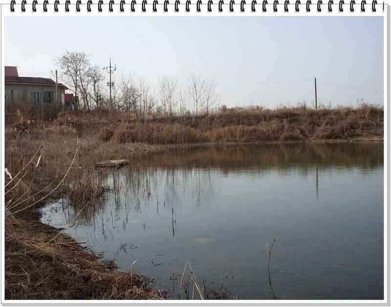 낚시프라자의 경산권 소식 (조황조행기 - 낚시점조황)