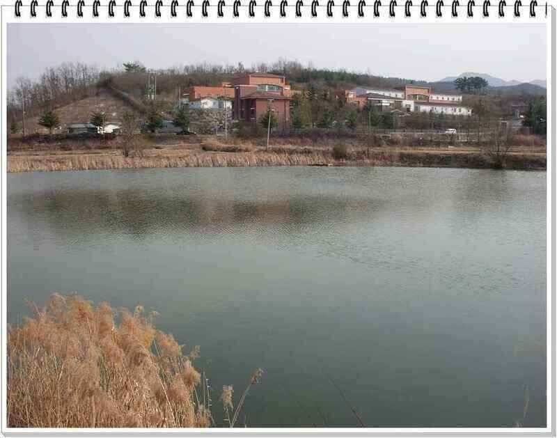 낚시프라자의 경산권 소식 (조황조행기 - 낚시점조황)