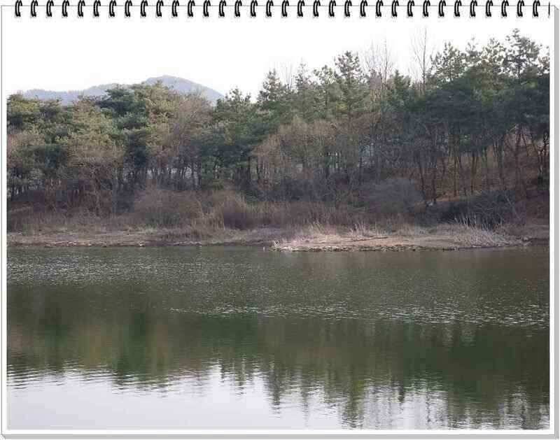낚시프라자의 경산권 소식 (조황조행기 - 낚시점조황)