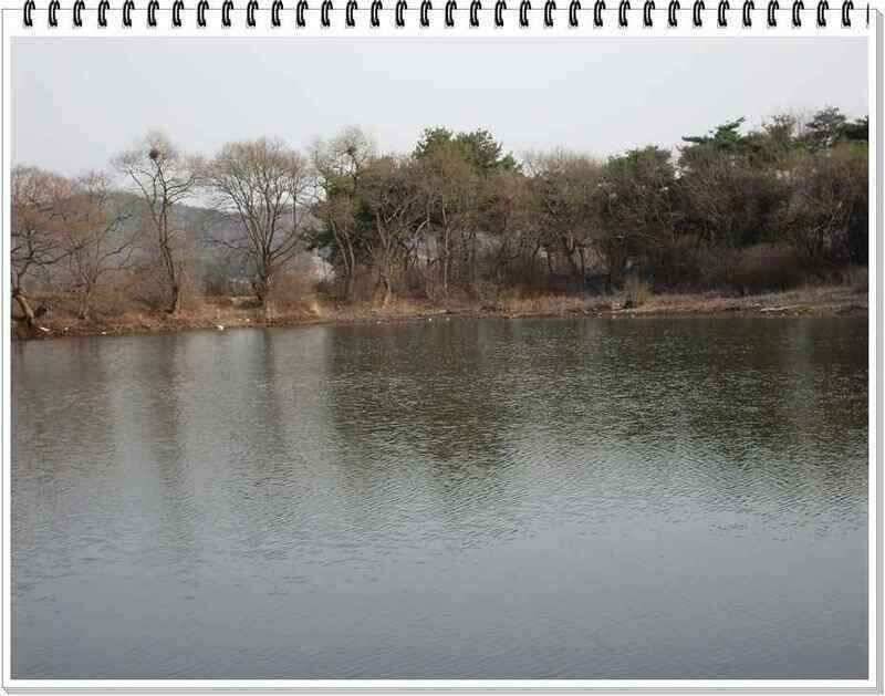 낚시프라자의 경산권 소식 (조황조행기 - 낚시점조황)