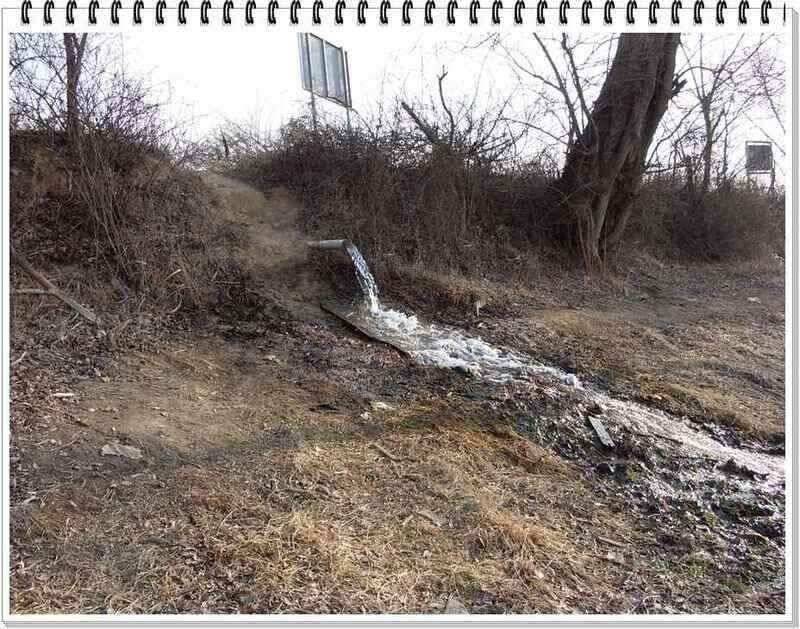 낚시프라자의 경산권 소식 (조황조행기 - 낚시점조황)