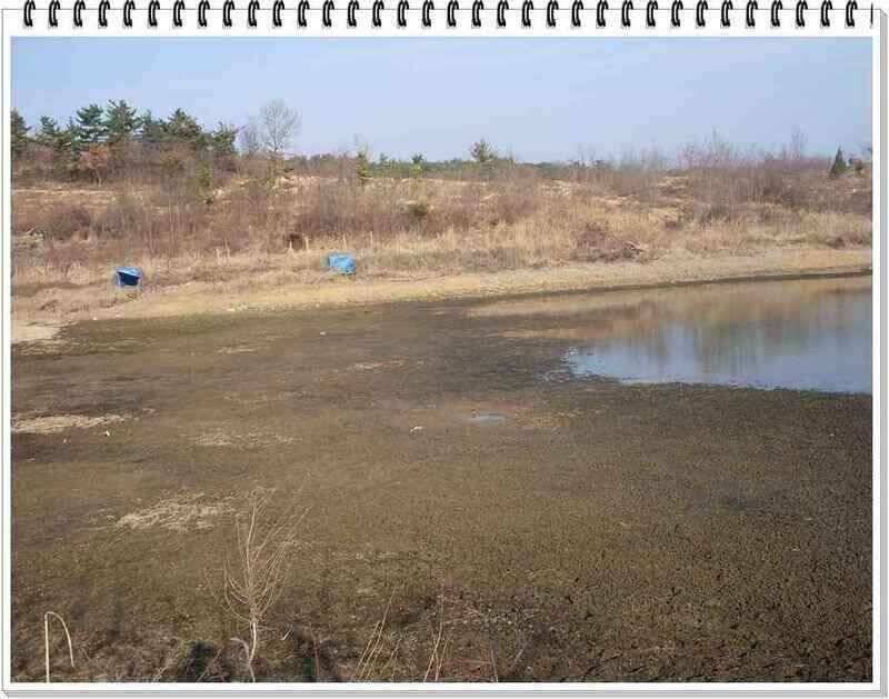 낚시프라자의 경산권 소식 (조황조행기 - 낚시점조황)