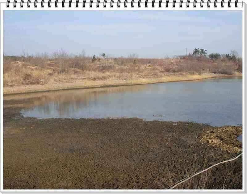 낚시프라자의 경산권 소식 (조황조행기 - 낚시점조황)