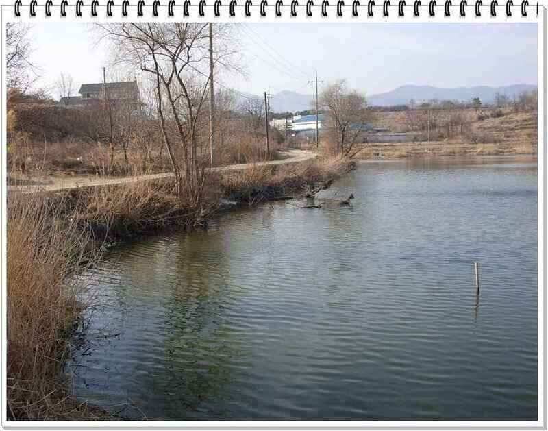 낚시프라자의 경산권 소식 (조황조행기 - 낚시점조황)