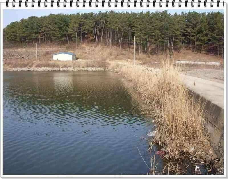낚시프라자의 경산권 소식 (조황조행기 - 낚시점조황)