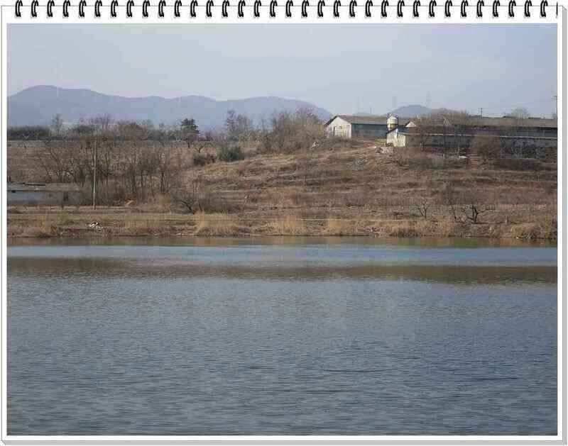 낚시프라자의 경산권 소식 (조황조행기 - 낚시점조황)