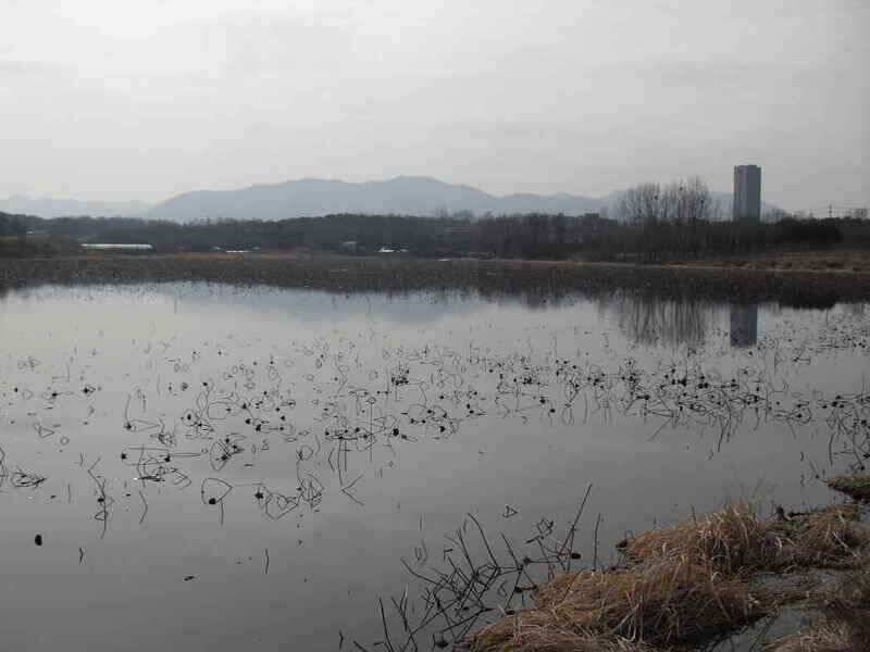 새봄을 맞이하여 조항점검차 둘러본 선항지 조황 (조황조행기 - 낚시점조황)