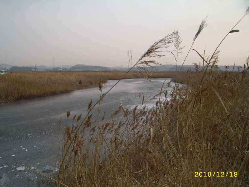 짜릿한 손맛 왕대박 (조황조행기 - 낚시점조황)