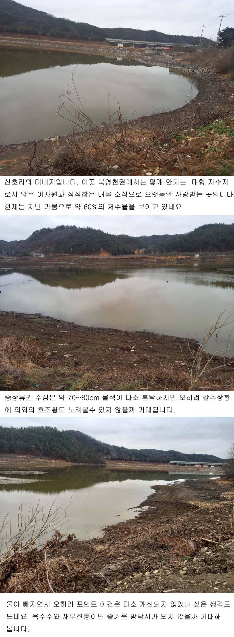 4월 첫주에 드리는 북영천권 저수지 상황입니다 (조황조행기 - 낚시점조황)