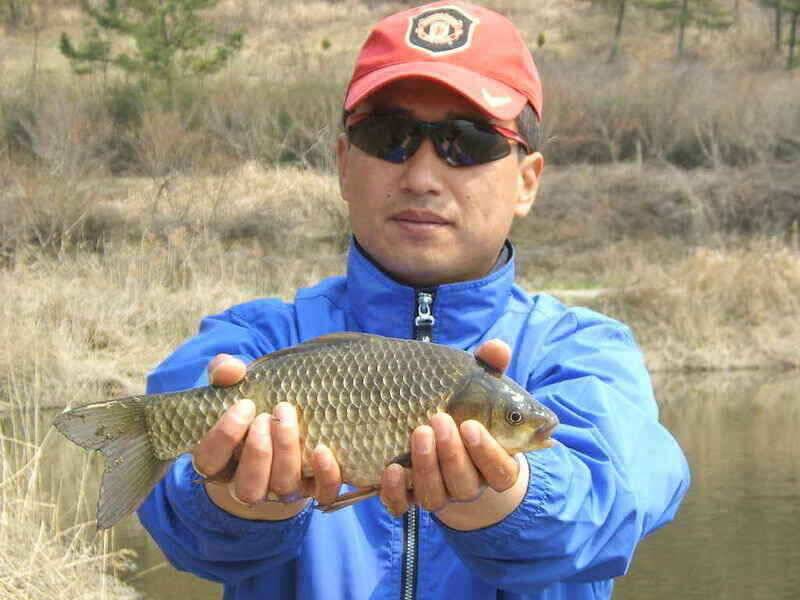 부제지 32 월척 (조황조행기 - 낚시점조황)
