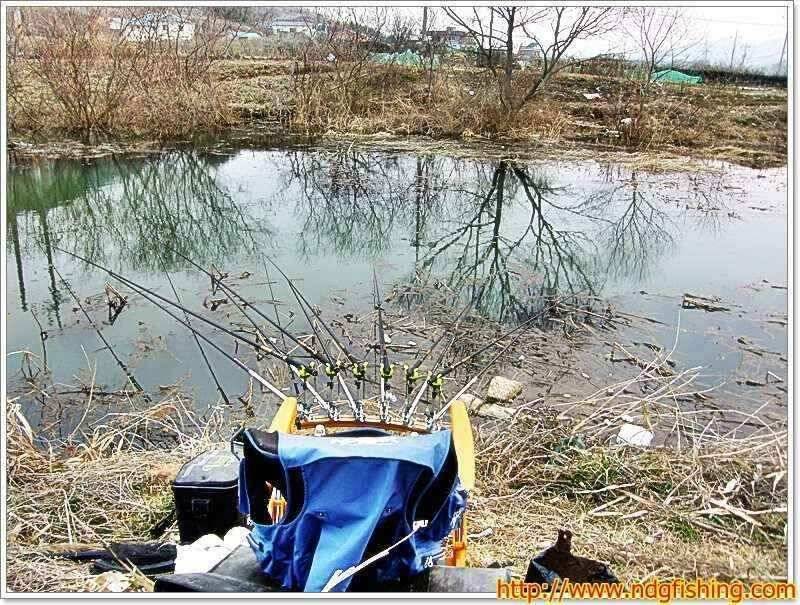 낙동강낚시 (조황조행기 - 낚시점조황)