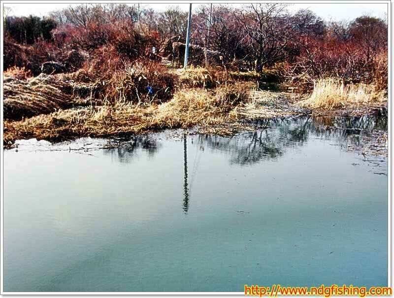 낙동강낚시 (조황조행기 - 낚시점조황)