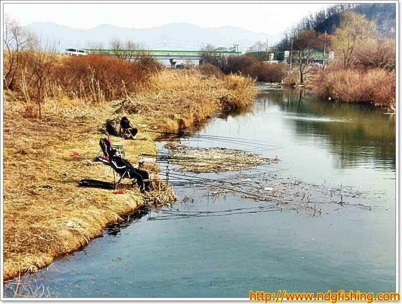 낙동강낚시 (조황조행기 - 낚시점조황)