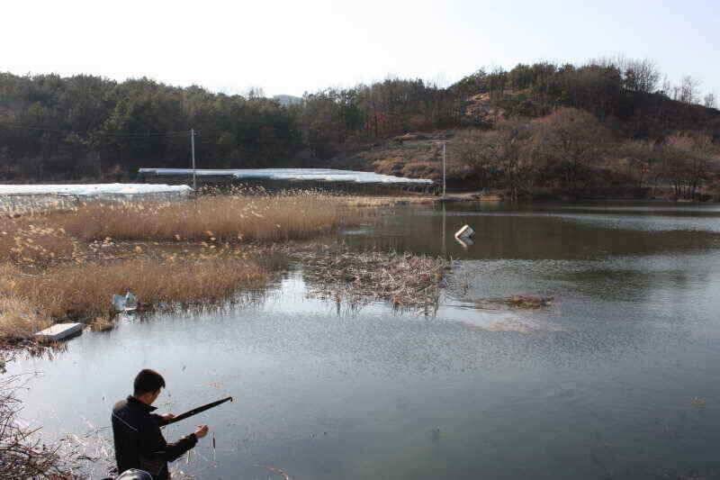 안녕 하세요 경산 시민낚시 올해 첫인사 드립니다 (조황조행기 - 낚시점조황)