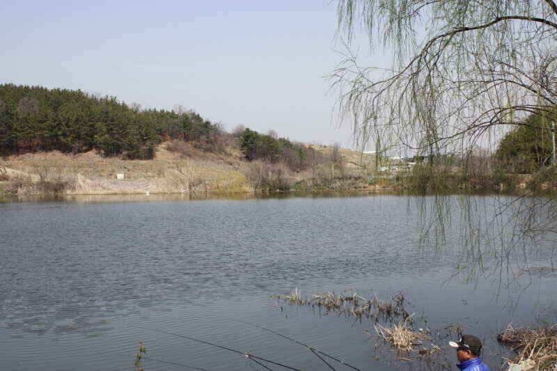 안녕 하세요 경산 시민낚시 올해 첫인사 드립니다 (조황조행기 - 낚시점조황)