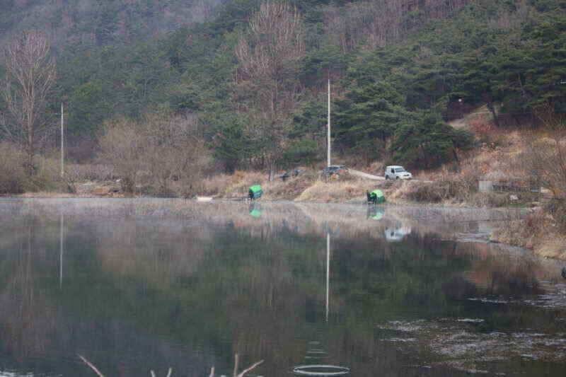 안녕 하세요 경산 시민낚시 올해 첫인사 드립니다 (조황조행기 - 낚시점조황)