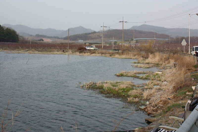 안녕 하세요 경산 시민낚시 올해 첫인사 드립니다 (조황조행기 - 낚시점조황)