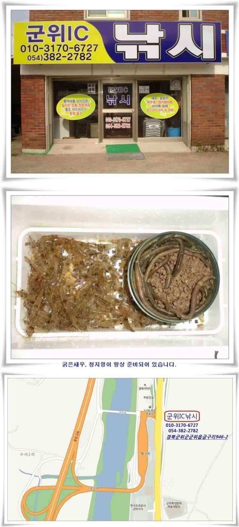 유망소류지들과 위천조황 (조황조행기 - 낚시점조황)