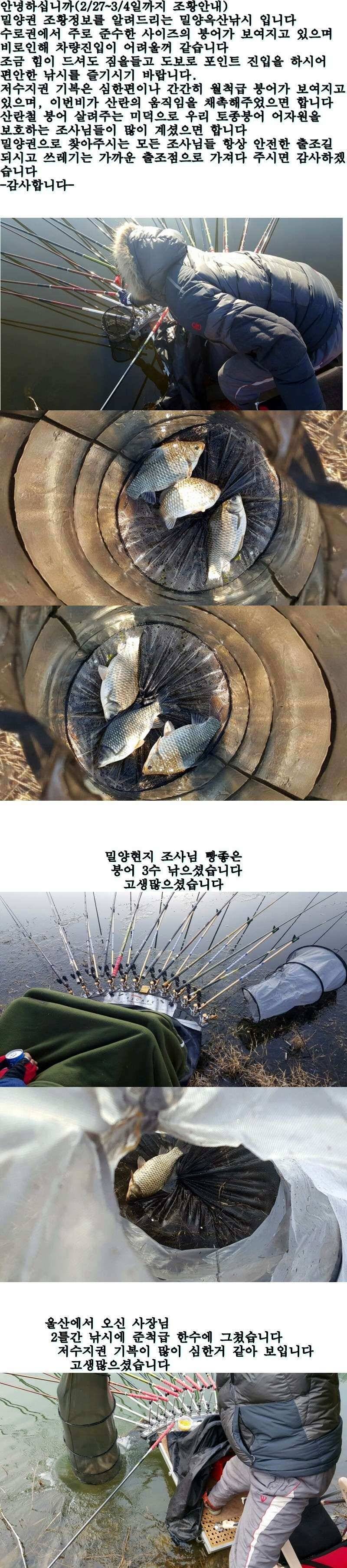밀양옥산낚시22734까지 (조황조행기 - 낚시점조황)