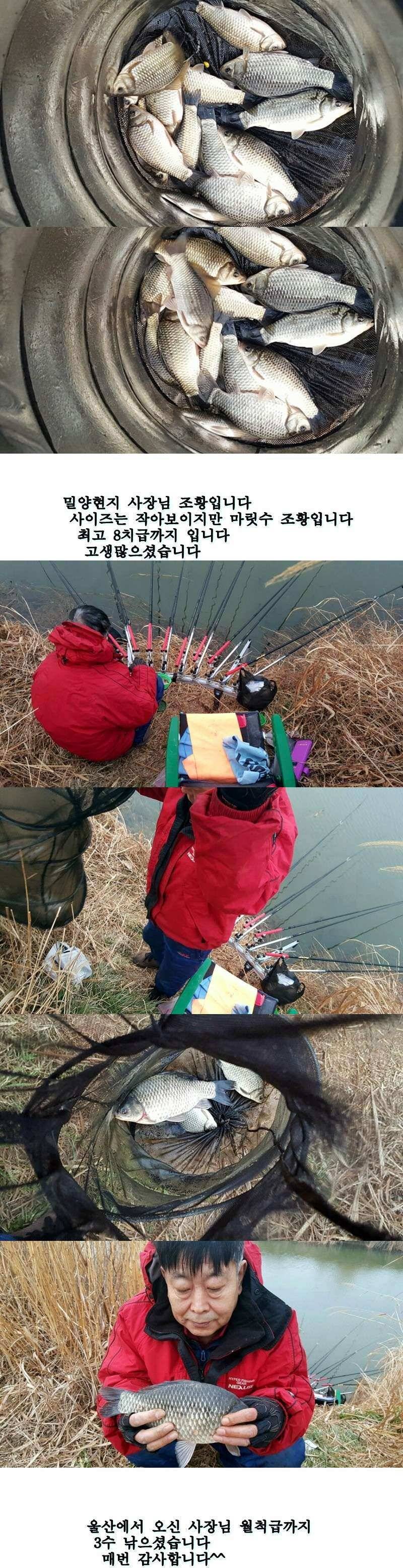 밀양옥산낚시22734까지 (조황조행기 - 낚시점조황)