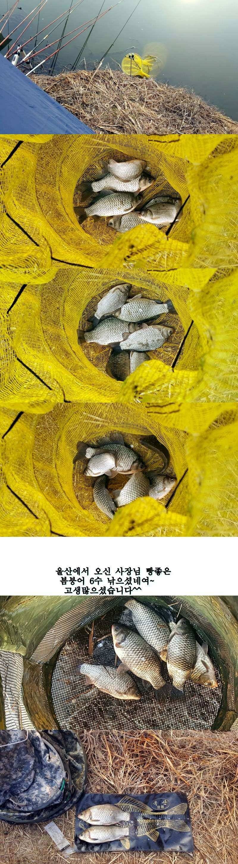 밀양옥산낚시22734까지 (조황조행기 - 낚시점조황)