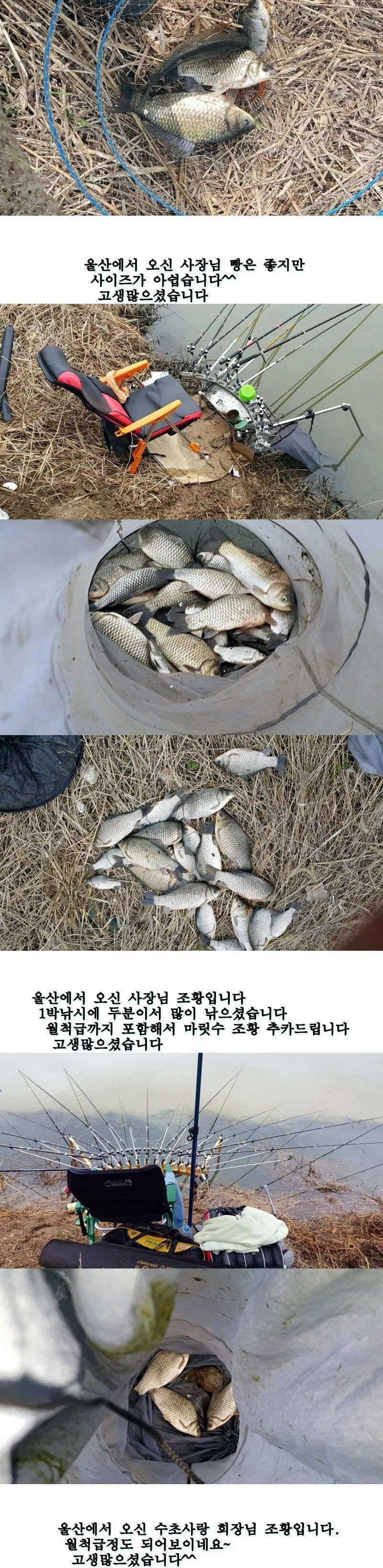밀양옥산낚시36312까지 (조황조행기 - 낚시점조황)