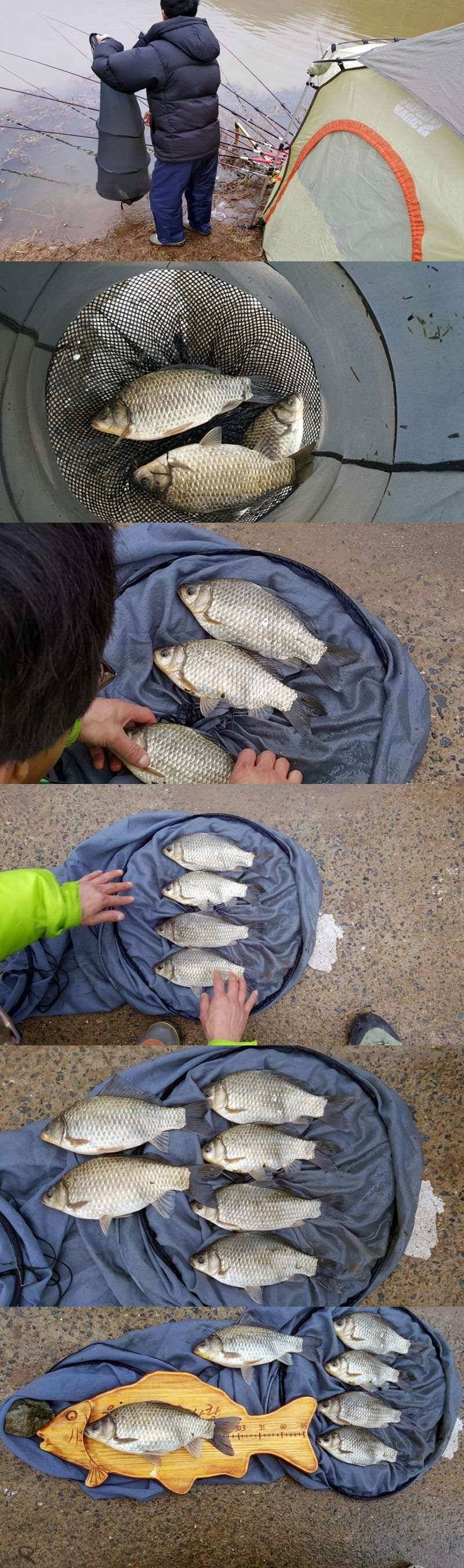 밀양옥산낚시36312까지 (조황조행기 - 낚시점조황)