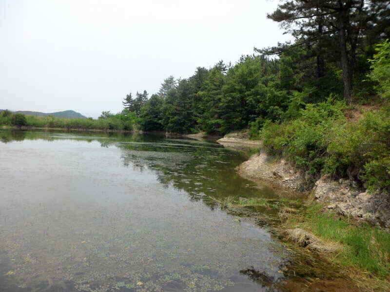 하양금호대창영천권 조황 입니다 (조황조행기 - 낚시점조황)