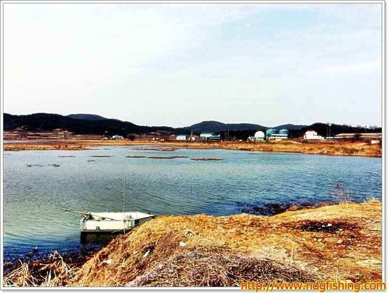 경남 창녕 및 밀양쪽 (조황조행기 - 낚시점조황)