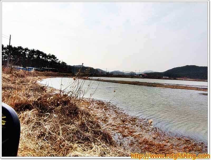 경남 창녕 및 밀양쪽 (조황조행기 - 낚시점조황)