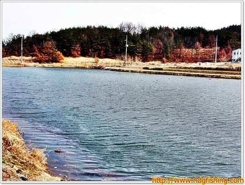 경남 창녕 및 밀양쪽 (조황조행기 - 낚시점조황)